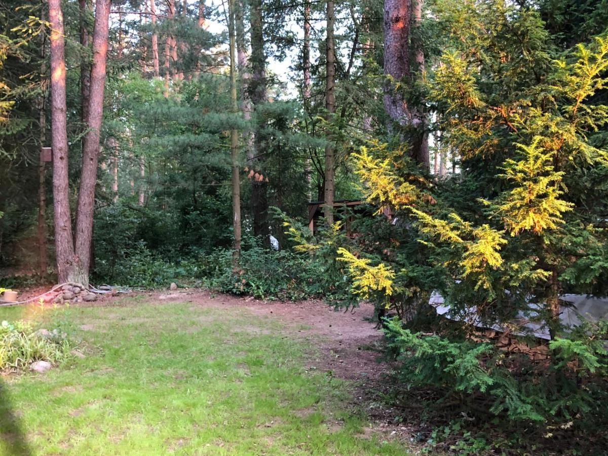 Ferienhaus Reetdach 1300Qm Privatgrundstueck Bootssteg Sauna Templin Luebbesee Uckermark Erholung Pur Seenplatte Petersdorf  Екстер'єр фото